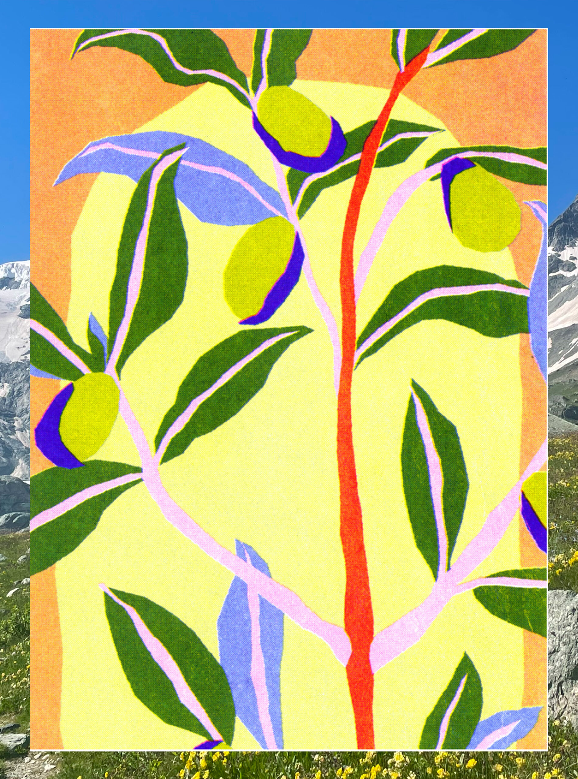 des randonn&eacute;es sur le th&egrave;me de la libert&eacute; de cr&eacute;er avec l'artiste lausannois Arnaud Vagni&egrave;re alias Joe Dessin - Alma montagne