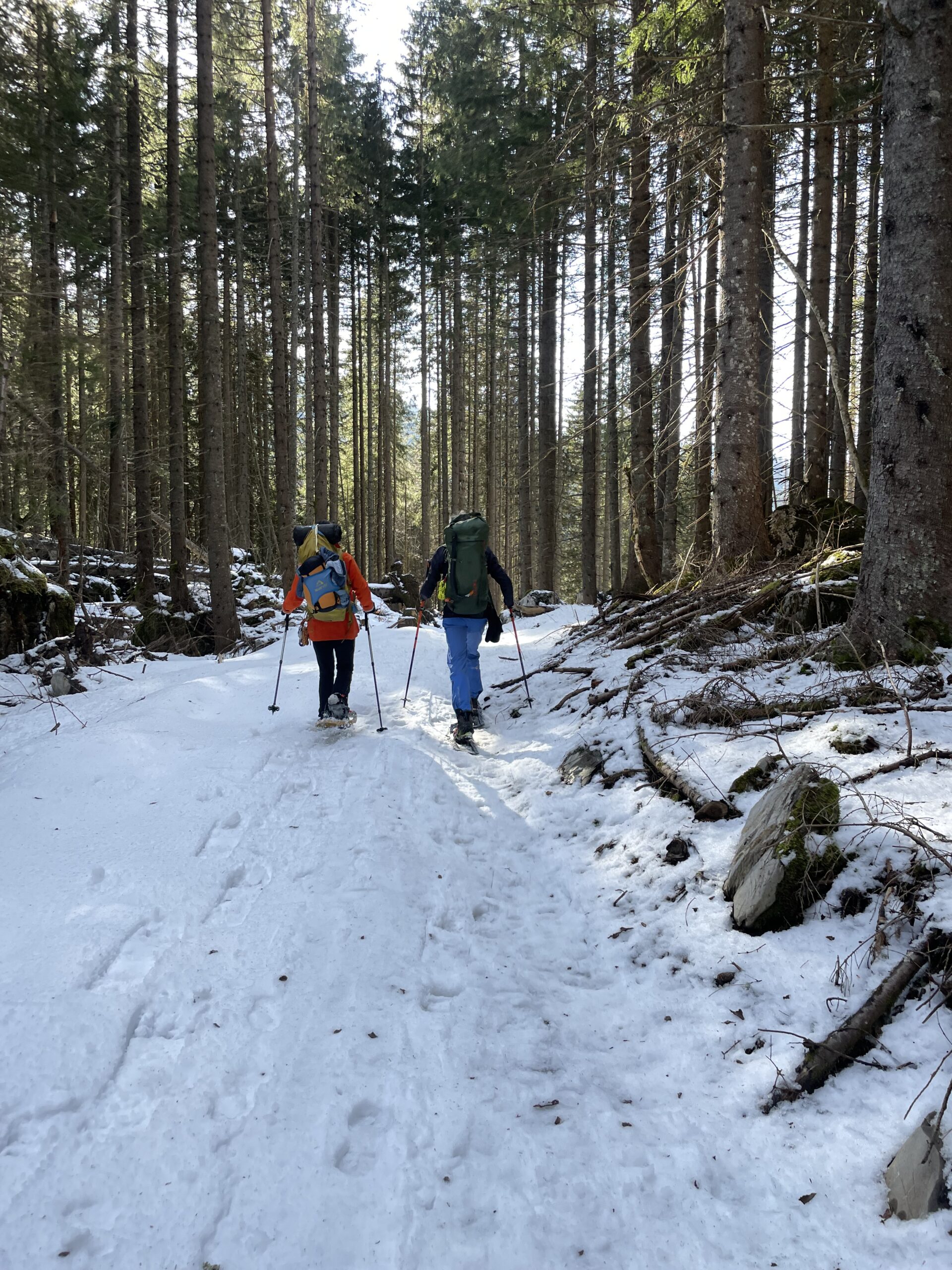 Camino Alma Montagne &ndash; Trek de plusieurs jours en raquettes dans la for&ecirc;t enneig&eacute;e suisse &eacute;t&eacute; Hivers