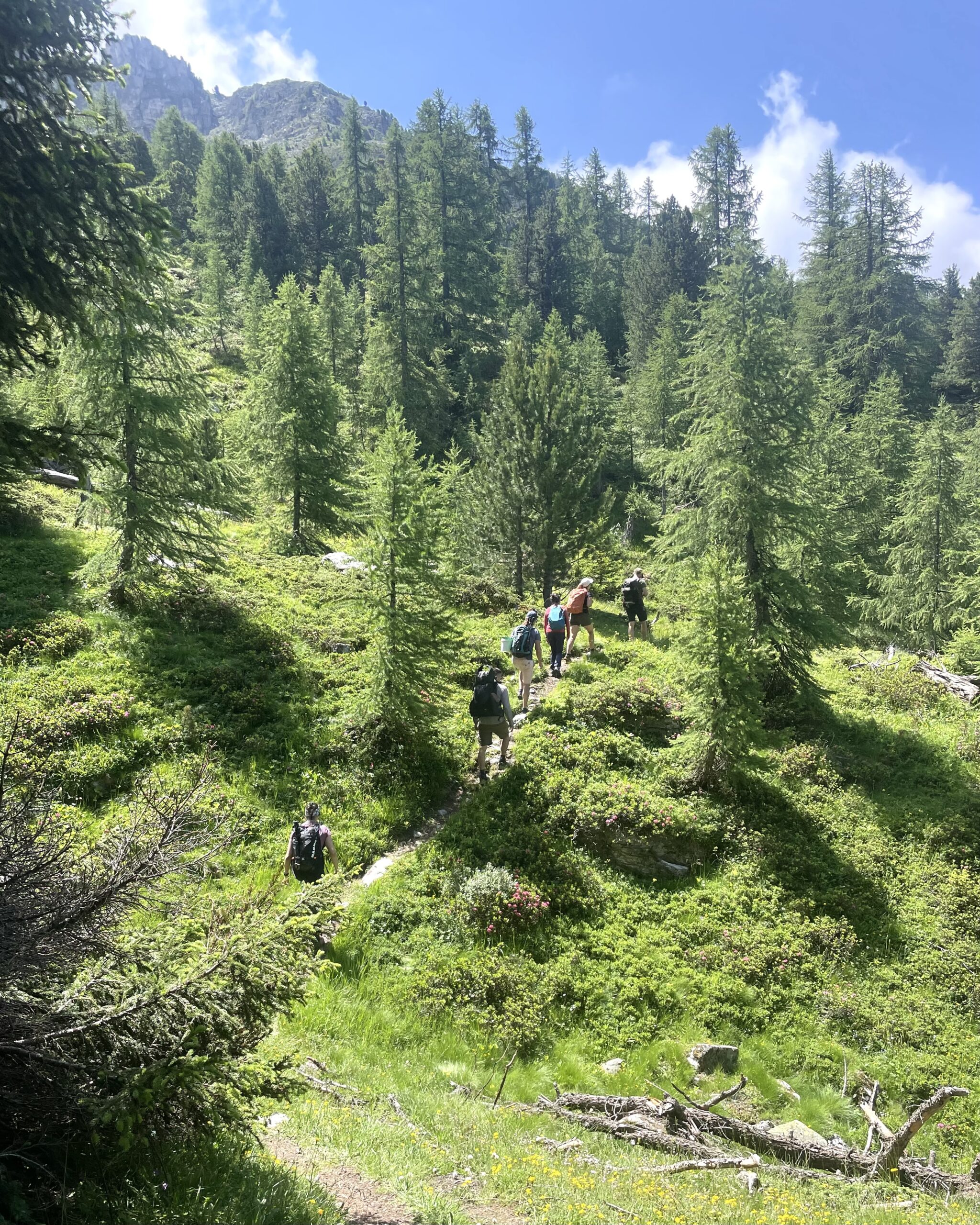 Guide alma montagne asam suisse uimla montre le chemin dans la neige poudreuse