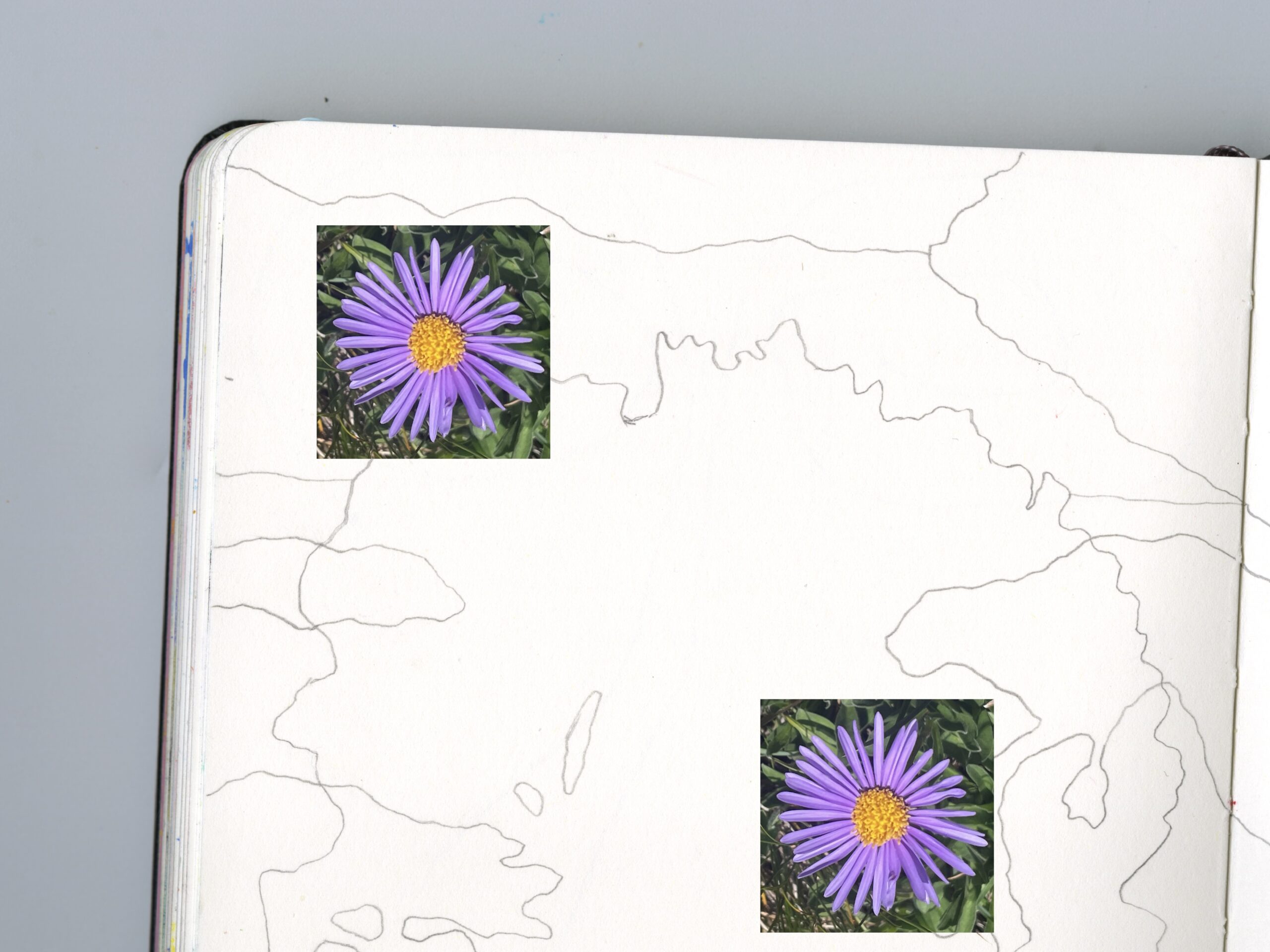Carnet de dessin avec les lignes de courbe d'une montagne et décollage de fleurs lors d'une rando créative dans le vallon de l'allondon pour se déconnecter de la technologie.
